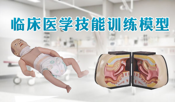 临床医学技能训练模型